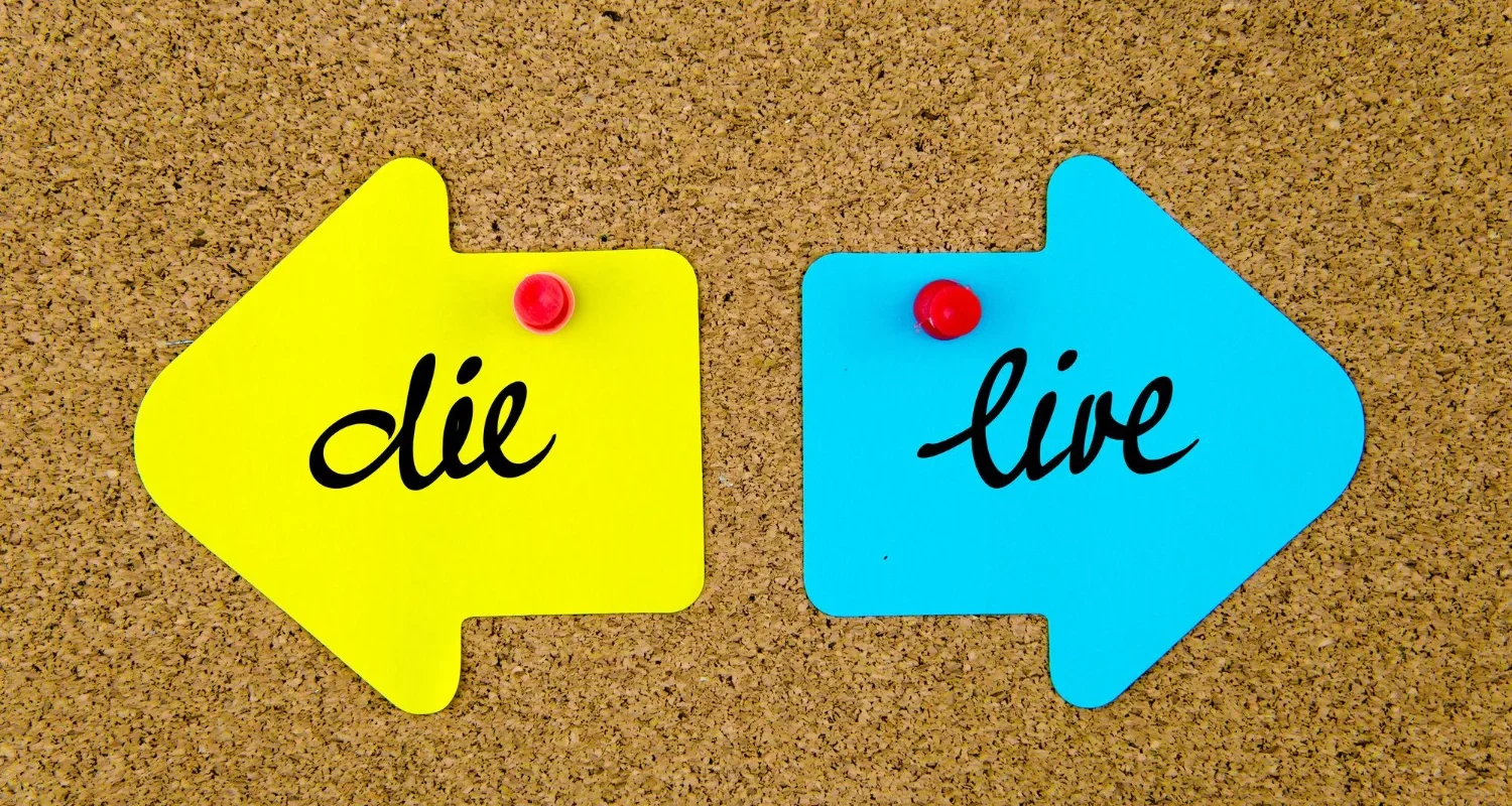 Daily decisions that keep you alive inside — inspirational lifestyle and wellness message